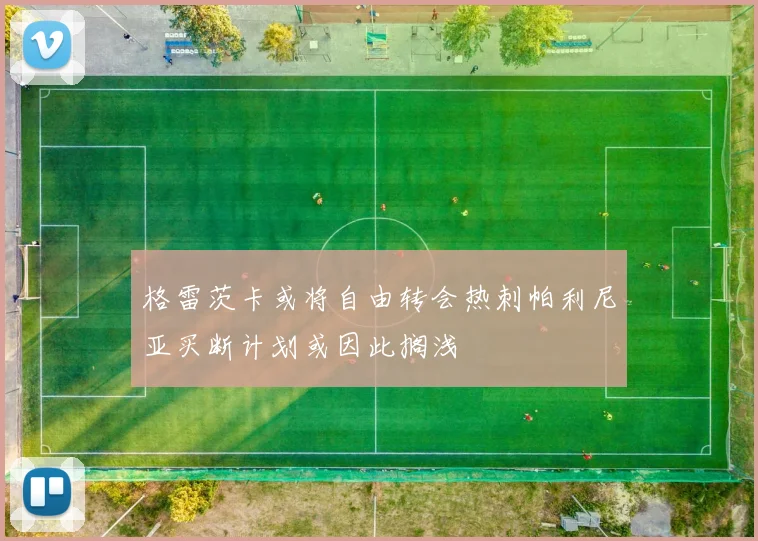 格雷茨卡或将自由转会热刺帕利尼亚买断计划或因此搁浅