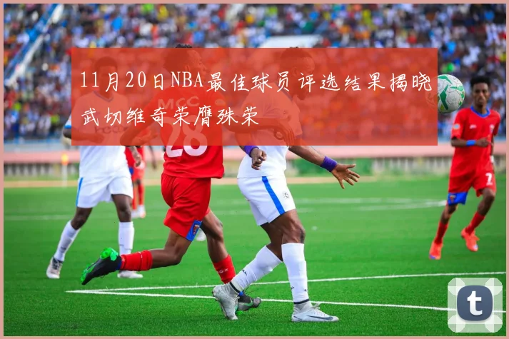 11月20日NBA最佳球员评选结果揭晓武切维奇荣膺殊荣